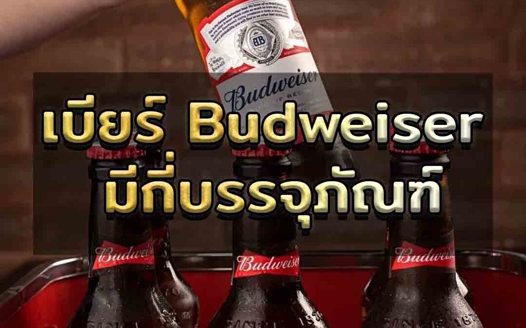 เบียร์ Budweiser มีกี่บรรจุภัณฑ์